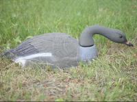 Подсадное чучело Гусь Гуменник полукорпусной (кормящийся) (530300000)