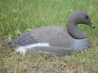 Подсадное чучело "Гусь Гуменник" полукорпусной (отдыхающий) (530090000)