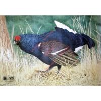 Мишень армированная тетерев JVD Animal (102829-1000)