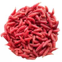 Опарыш Красный в банке 20 мл