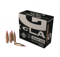 308 Win Патрон ИГЛА Шакал с экспансивной пулей (HP)10,4 г (160 gr)