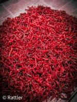 Мотыль УРАЛЬСКИЙ насадочный (крупный) 16 г