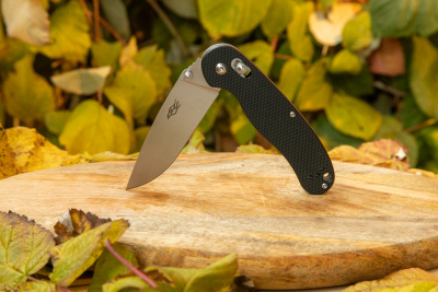 Нож складной Ganzo Firebird FB727S-BK сталь D2, рукоять чёрный G10, замок Axis Lock (крыска)