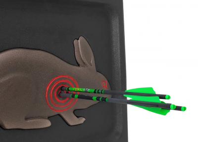 Стрела арбалетная карбоновая Centershot Toxic Carbon 16" Half Moon Nock