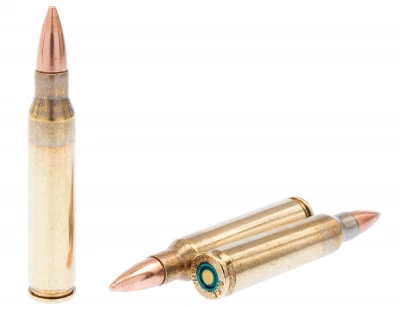 Патроны .223 Rem Fiocchi FMJ 4,02г (50 шт.)