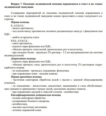 Средство защиты от агрессии животных Контроль-АС "Антимедведь" 225 мл, аэрозольно-струйный, флип-топ Чёрная Молния