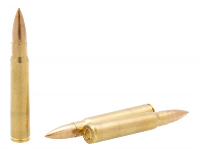 Патрон 9,3*64 об. ГЛ ОТ 17,5 г НПЗ