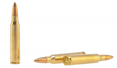 Патрон 5,56*45 об 4 г (62gr) "Охота" гильза латунь, оболочка пули латунь (ТПЗ)