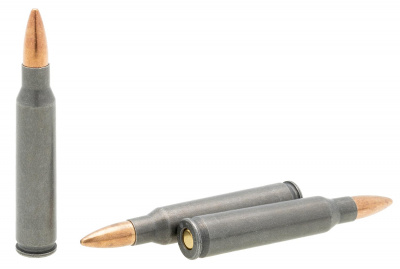 Патрон 5,56*45 об. 4,0 б/м  ТПЗ