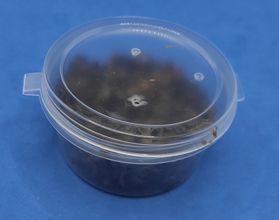 Мормыш живой "рачок", банка 20 гр.