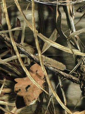 Камуфляжный набор "Allen" на термооснове, цвет Advantage Max-4 HD (арт.17445)