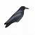 Чучело подсадное "Ворона серая" пластик