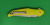Нож складной REPTILIAN "Пифон-02" сталь 9Cr18MoV, рукоять жёлтая G10, клинок Stonewash, флиппер, замок Liner-Lock, система IKBS Нож складной REPTILIAN "Пифон-02" сталь 9Cr18MoV, рукоять жёлтая G10, клинок Stonewash, флиппер, замок Liner-Lock, система IKBS