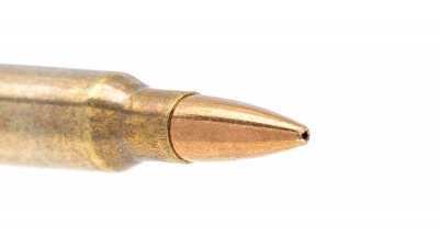 Патрон нарезной 5,56*45 экспансивный 4 г (62gr) серия "Охота" гильза латунная, с латунной оболочкой пули (ТПЗ)