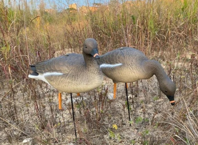 Чучело Гусь "Гуменник" 10 шт. (2 - сторожевых, 8 - кормящихся) ELITE 3D Greylag Goose (EGG10)