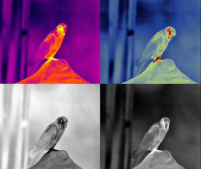 Тепловизионный монокуляр Guide TD410 - матрица 400х300, обнаружение до 800м, 1х18650