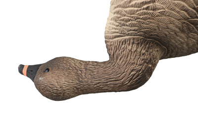 Чучело Гусь "Гуменник" 10 шт. (2 - сторожевых, 8 - кормящихся) ELITE 3D Greylag Goose (EGG10)