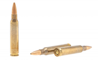 Патрон нарезной 5,56*45 экспансивный 4 г (62gr) серия "Охота" гильза латунная, с латунной оболочкой пули (ТПЗ)