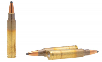 Патрон нарезной RWS GECO кал. 223 REM SP 3,43 г (в пачке 20 шт.)