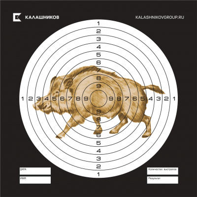 Мишень для пневматики "Кабан" 140*140, картон 