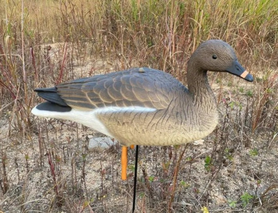 Чучело Гусь "Гуменник" 10 шт. (2 - сторожевых, 8 - кормящихся) ELITE 3D Greylag Goose (EGG10)