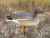 Чучело Гусь "Гуменник" 10 шт. (2 - сторожевых, 8 - кормящихся) ELITE 3D Greylag Goose (EGG10)