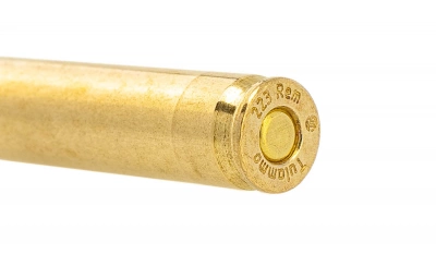 Патрон 5,56*45 об 4 г (62gr) "Охота" гильза латунь, оболочка пули латунь (ТПЗ)