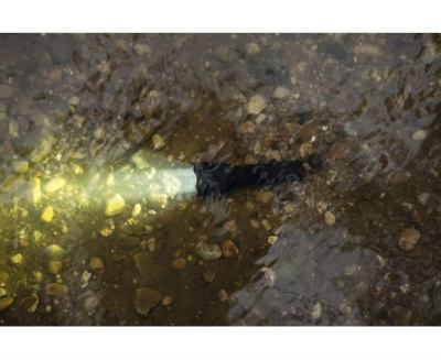 Фонарь тактический Armytek Viking Белый / 2500 лм / 300 м / 11°:76° / 1x18650 или 2xCR123A (F01802C)