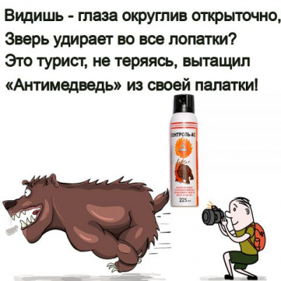 Средство защиты от агрессии животных Контроль-АС "Антимедведь" 225 мл, аэрозольно-струйный, флип-топ Чёрная Молния