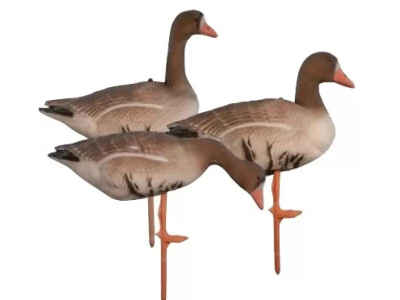 Чучело гусь белолобый Birdland, складное, на опоре, комплект: 2 сторожевых, 2 отдыхающих, 8 кормящихся (12 шт./уп.)