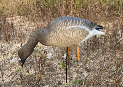Чучело Гусь "Гуменник" 10 шт. (2 - сторожевых, 8 - кормящихся) ELITE 3D Greylag Goose (EGG10)