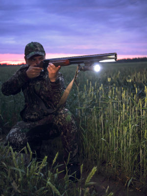 Armytek Viking Pro Magnet USB Warm F07701W