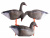 Чучело гуся гуменника  Birdland, складное, на опоре, комплект: 2 сторожевых, 2 отдыхающих, 8 кормящихся (12 шт./уп.)