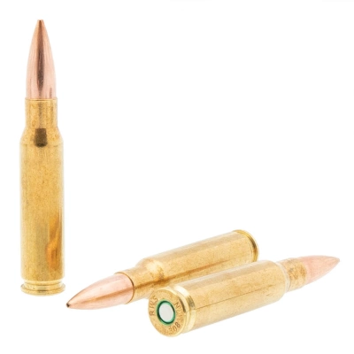 Патрон нарезной 308 WIN RWS 12,3 г  Target Elite Plus Match